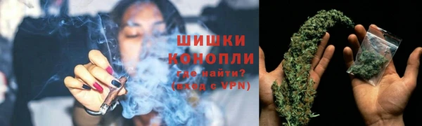 крисы Армянск