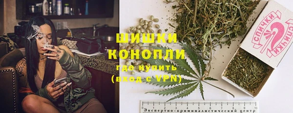 крисы Армянск