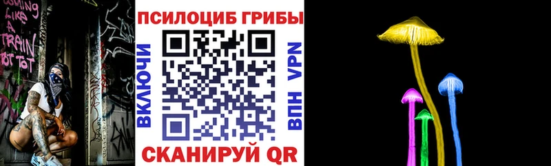 блэк спрут вход  Омутнинск  Галлюциногенные грибы Magic Shrooms 
